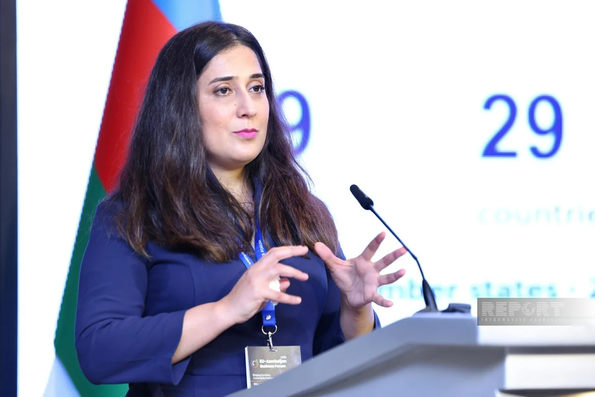 Akhundova: Azerbaijan still faces equipment shortages at ports