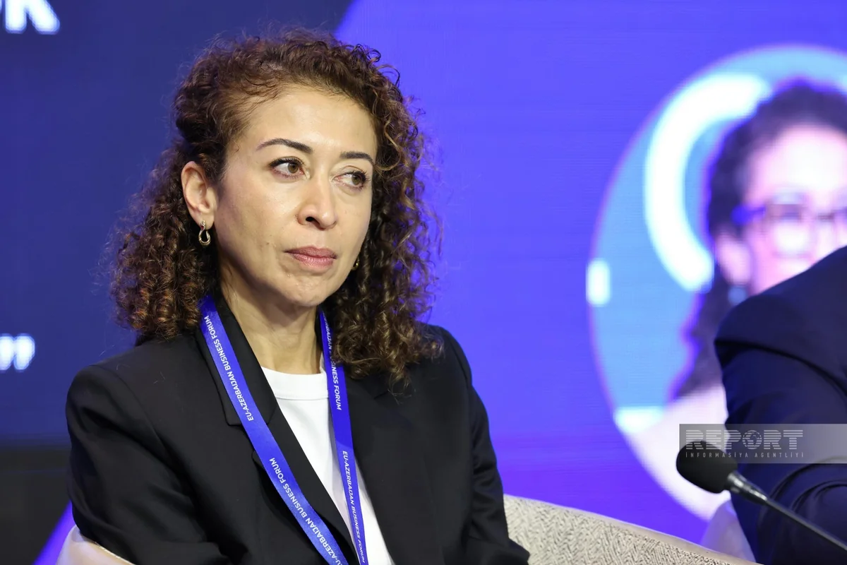 Almaniya şirkətlərinin Orta Dəhlizlə bağlı hədəfləri açıqlanıb