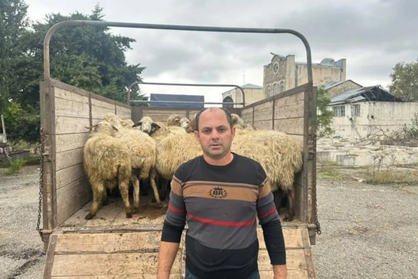 Ağdərə, Ağdam, Xocalı, Cəbrayıl, Xocavənd və Laçında sakinlər qoyunçuluq təsərrüfatı yaradıb