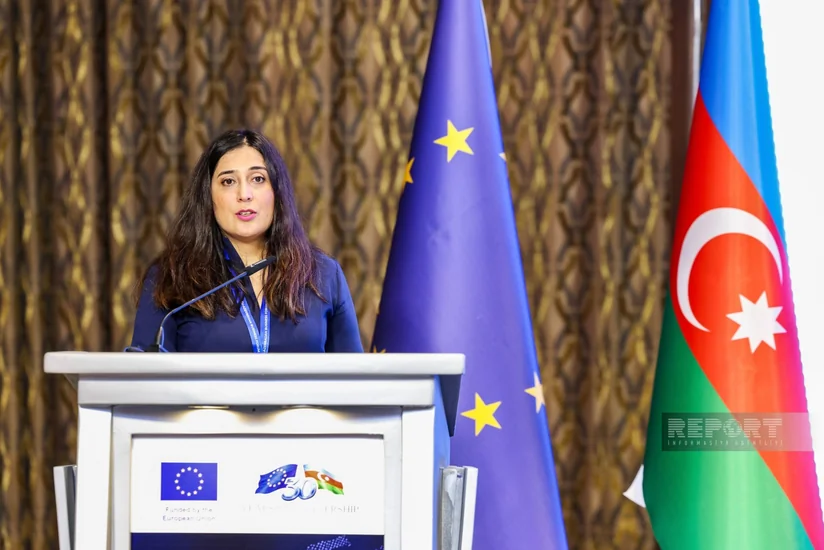 Aytən Axundova: Nəqliyyat qanunvericiliyində sığorta mexanizmi təkmilləşdirilməlidir