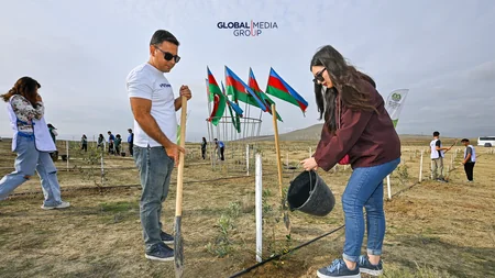 Global Media Groupun təşəbbüsü ilə növbəti ağacəkmə aksiyası keçirilib