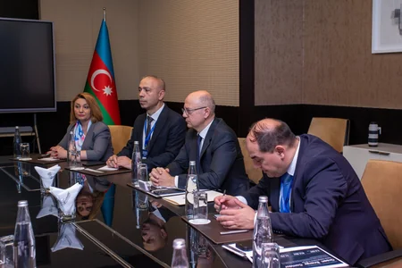 Azərbaycan Çin ilə günəş və dənizdə külək enerjisi layihələrini müzakirə edib