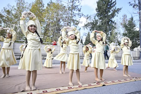 Ucarda Aqrar Biznes və I Çəltik festivalı keçirilib - Yenilənib