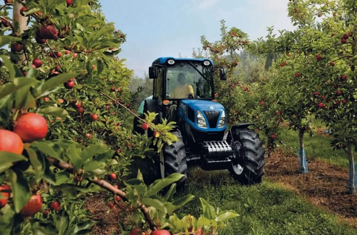 Azərbaycanda fermerin məhsulunun satış qiyməti və ödəniş müddətinin qanunla tənzimlənməsi təklif edilib