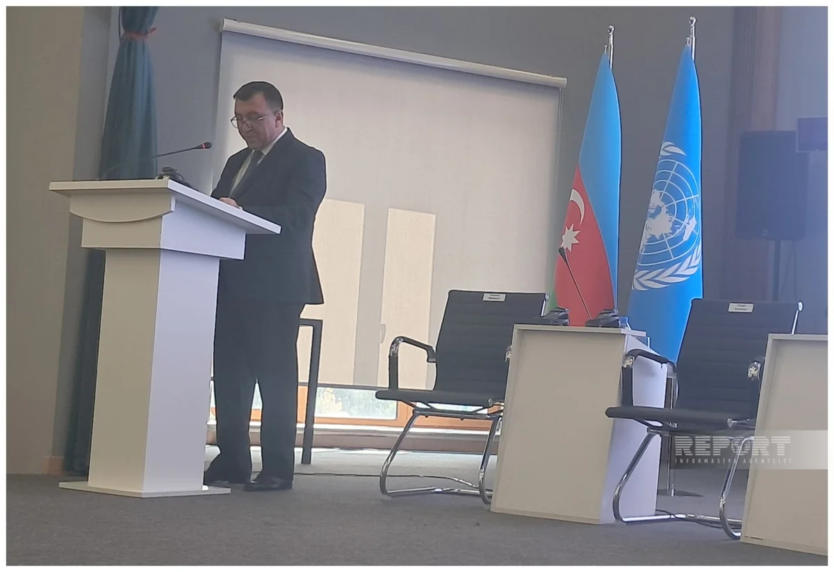 Samad Bashirli: Azerbaijan attracted $49B in foreign investment in 6 years