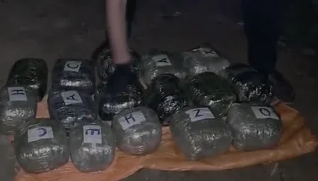 Bakı, Gəncə və Sumqayıtda 82 kiloqram narkotik dövriyyədən çıxarılıb
