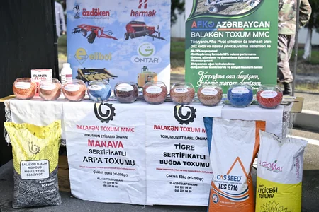 Ucarda Aqrar Biznes və I Çəltik festivalı keçirilib - Yenilənib
