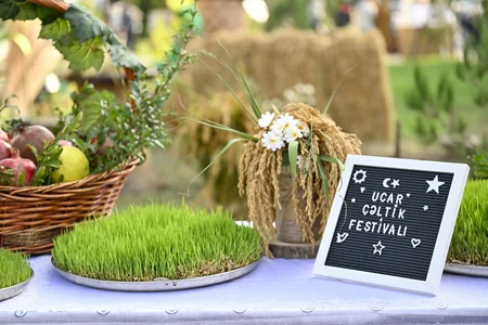 Ucarda Aqrar Biznes və I Çəltik festivalı keçirilib - Yenilənib