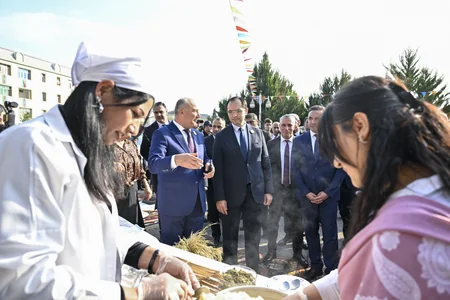 Ucarda Aqrar Biznes və I Çəltik festivalı keçirilib - Yenilənib