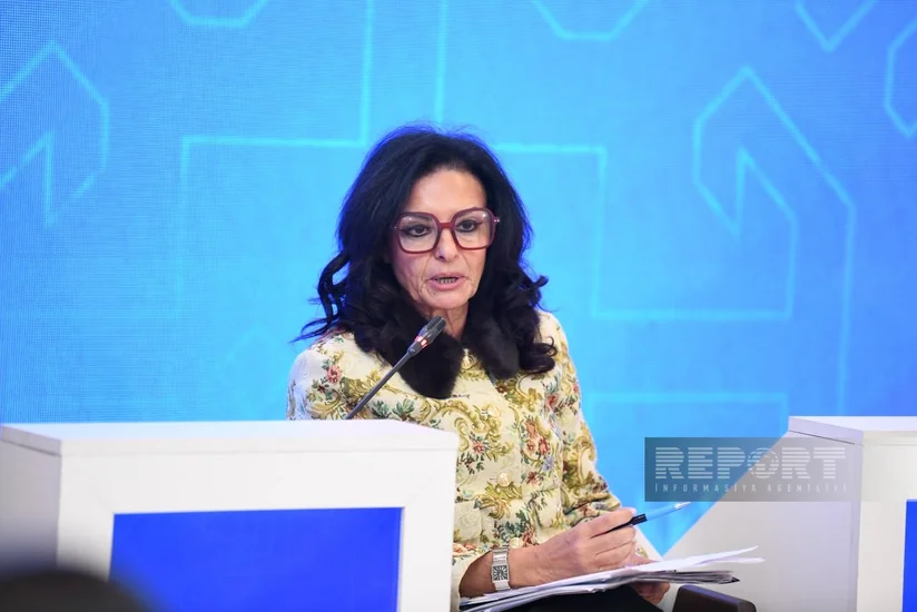 Nihal Saad: Bir çox ölkələr süni intellektlə bağlı çağırışlara hələ hazır deyil