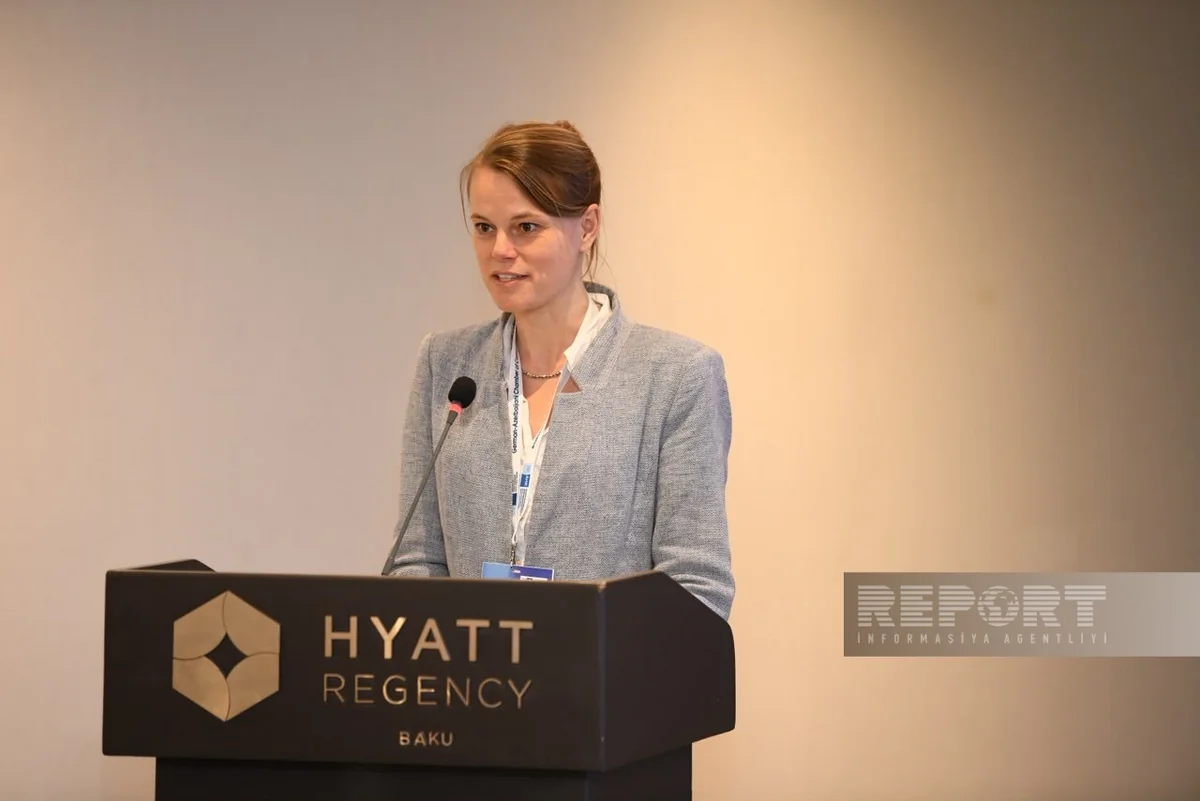 German companies offer Azerbaijan innovative solutions for food sector ...