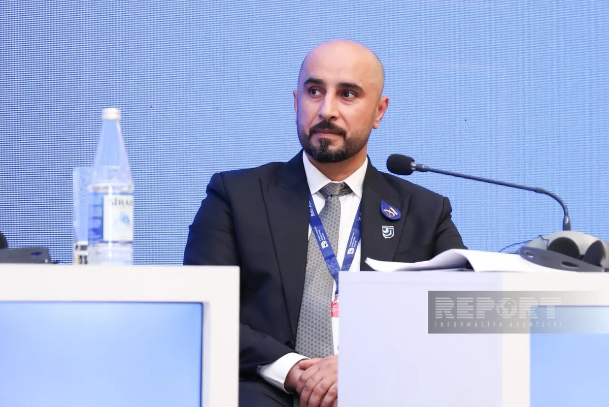 Museums should enable different cultures to share experiences, ICOM vice president says