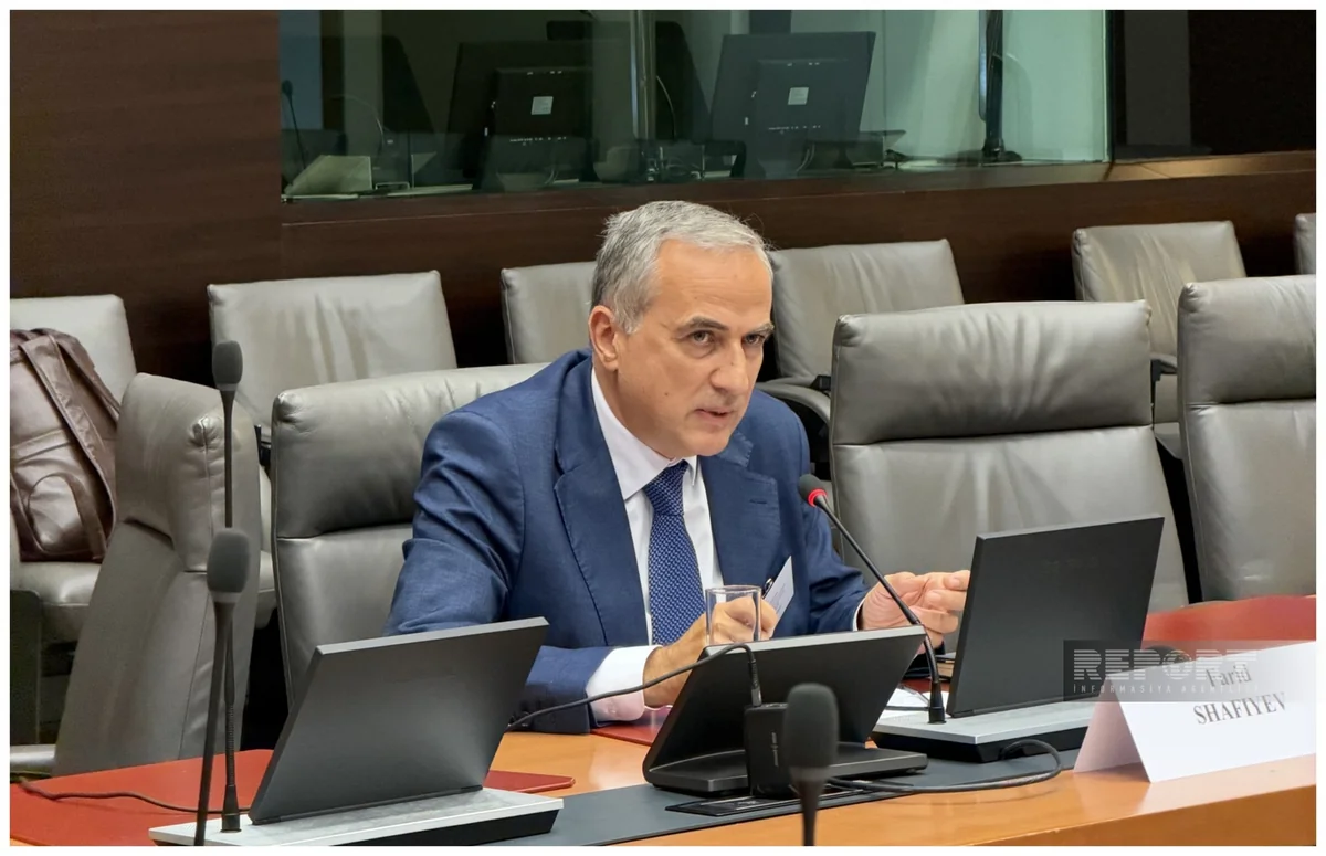 Farid Shafiyev: Azerbaijan seeks to change paradigm in relations with EU - Interview