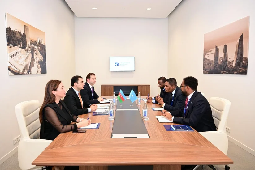 Azərbaycan ilə Somali arasında mədəniyyət sahəsində əməkdaşlıq müzakirə olunub