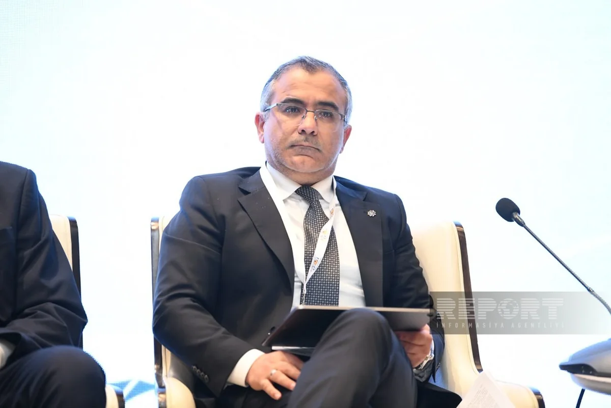 PASHA Capital CEO: Bond guarantees could attract more investors