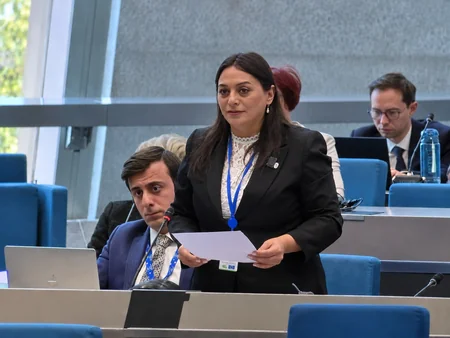 Naxçıvan Ali Məclisinin deputatı Avropa Şurasının rəhbər orqanına üzv seçilib