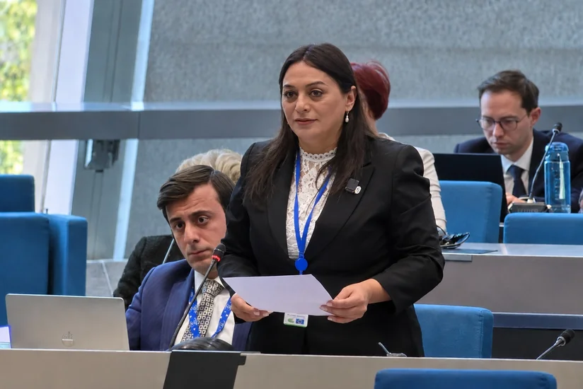 Naxçıvan Ali Məclisinin deputatı Avropa Şurasının rəhbər orqanına üzv seçilib