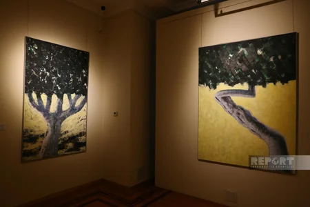 Bakıya uçuş festivalı çərçivəsində Fərhad Xəlilovun yubiley sərgisi nümayiş olunur