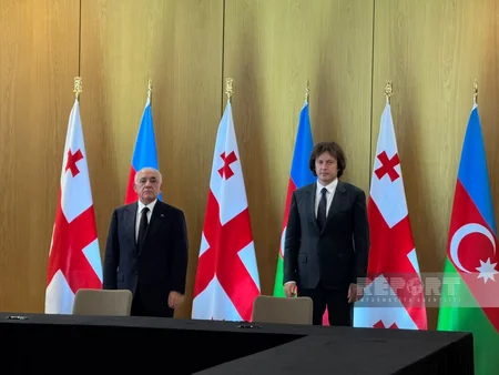 Azerbaijan, Georgia sign customs and agricultural cooperation documents