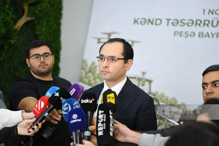 Məcnun Məmmədov: Azərbaycanda ərzaqlıq buğda istehsalı 170 min tonu ötüb