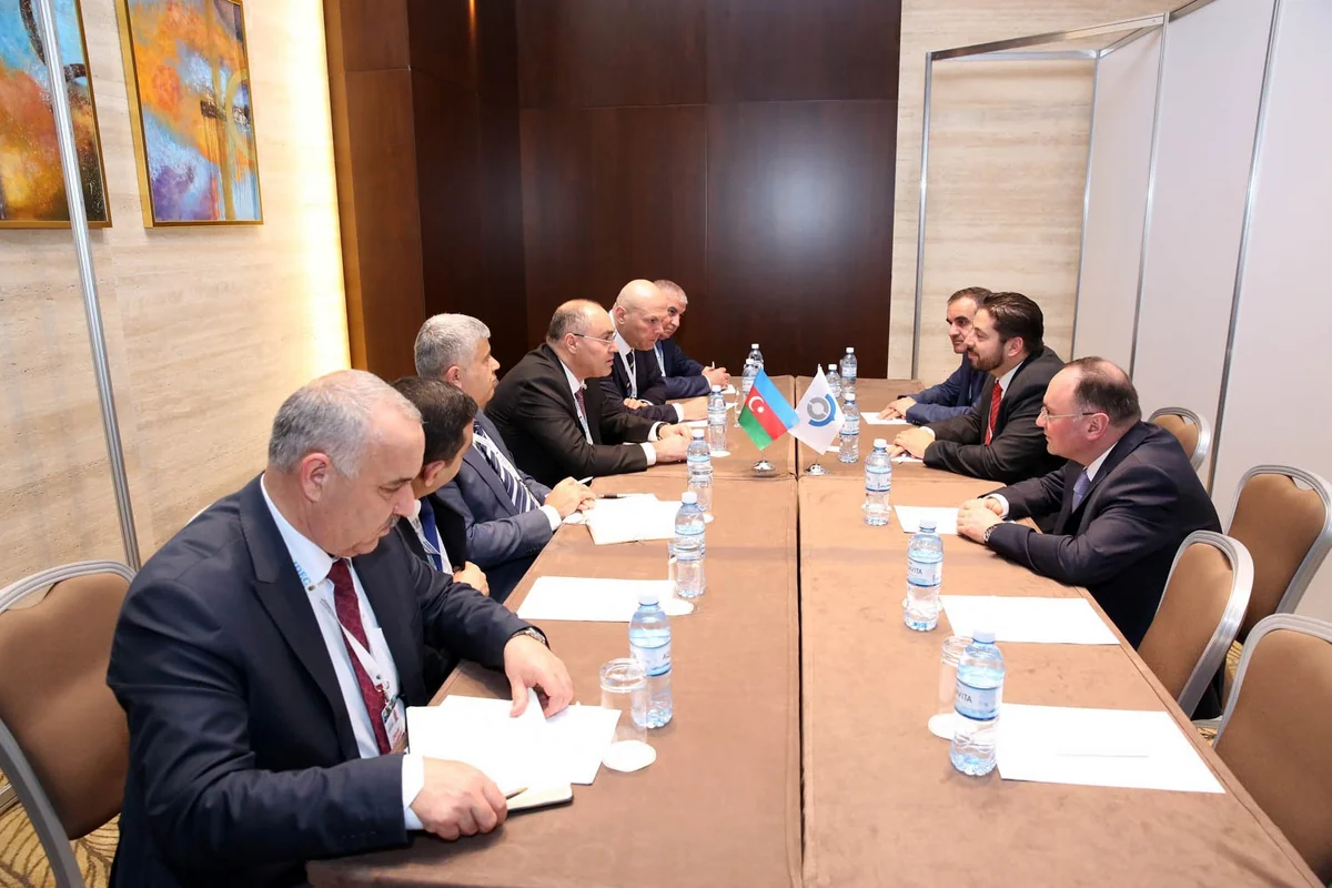 Dövlət Gömrük Komitəsinin sədri Ümumdünya Gömrük Təşkilatının baş katibinin müavini ilə görüşüb
