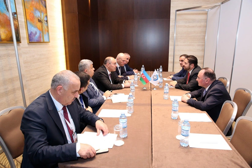 Dövlət Gömrük Komitəsinin sədri Ümumdünya Gömrük Təşkilatının baş katibinin müavini ilə görüşüb