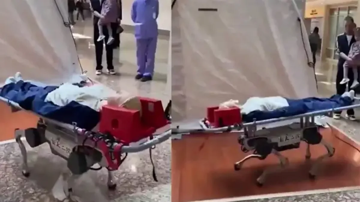 'Robot dog' put into use in fire rescue in China's Changsha, capable of functioning in extreme temperatures