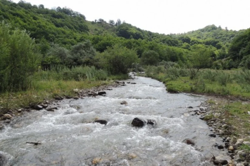 Tovuzda çayda deformasiyaya uğramış meyit tapılıb 