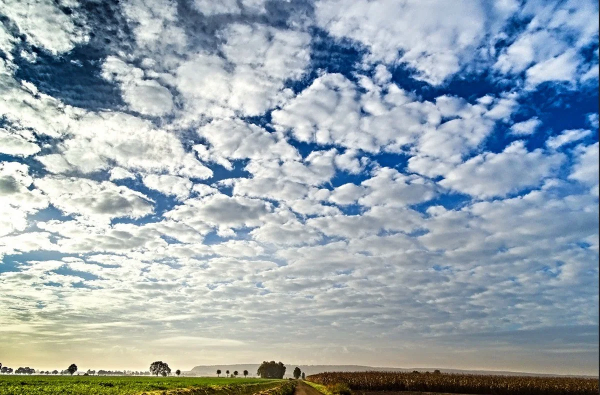 Weather forecast for tomorrow announced