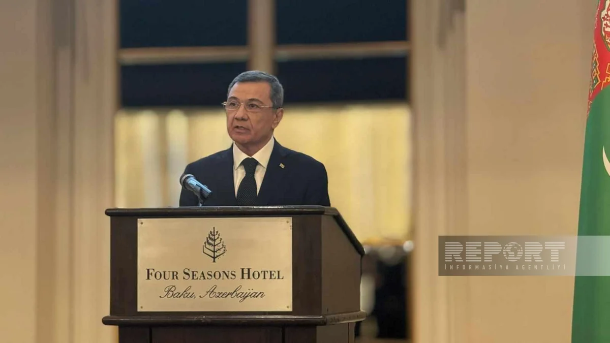 Ambassador: Hosting COP29 in Azerbaijan testifies to country's increasing role on global arena
