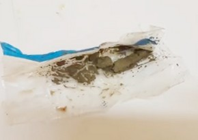 Həbsxanaya sümüyün içində heroin keçirilməsinin qarşısı alınıb
