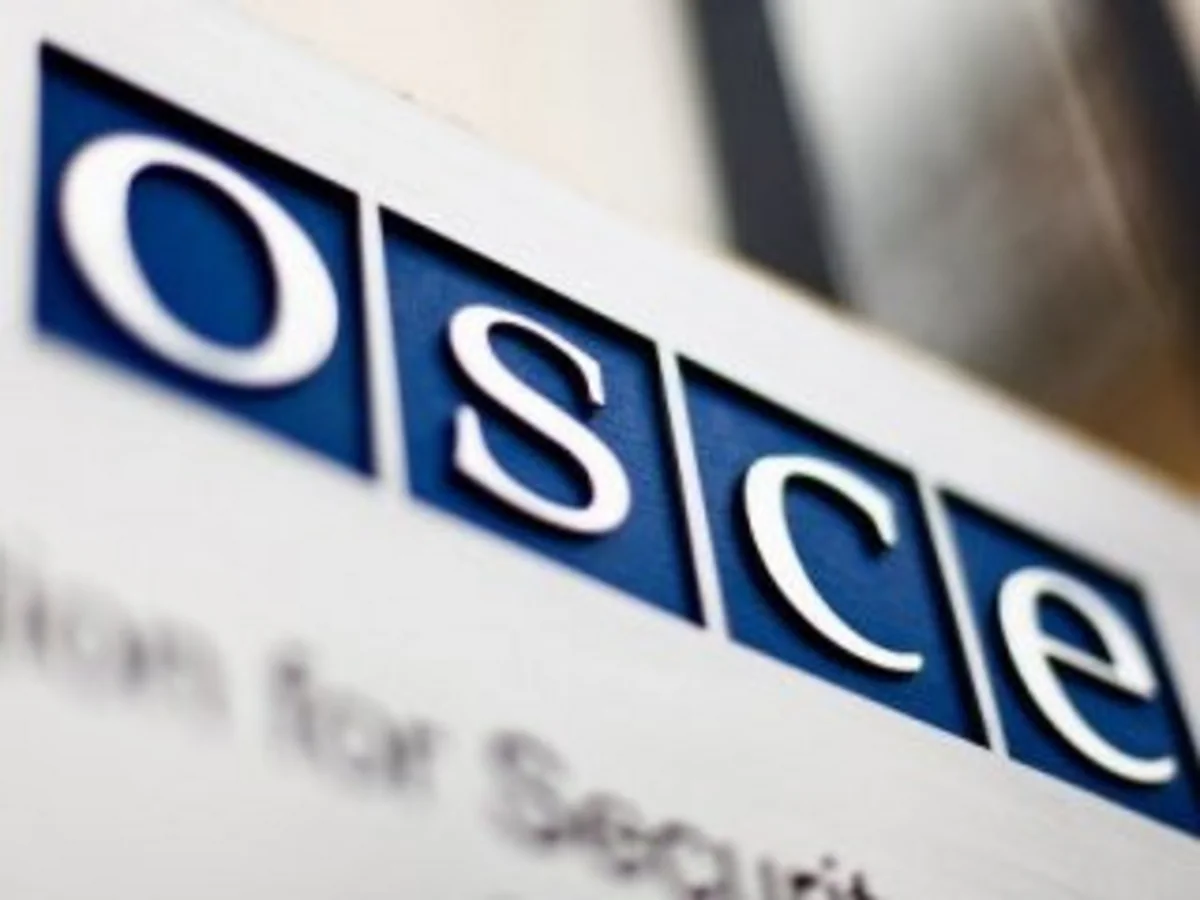 ОБСЕ направит наблюдателей на российские погранпункты