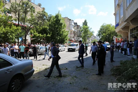 В Баку жители провели акцию протеста против вырубки деревьев - ФОТО