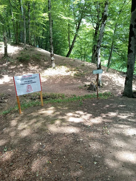 Nazirlik rəsmisi: Qaranohur gölü ərazisində tullantılar yığışdırılıb, zədələnmiş plakatlar yenilənib