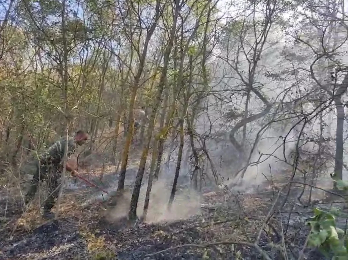 Şamaxıda yanğın məhdudlaşdırılıb, soyutma işləri aparılır - YENİLƏNİB-2