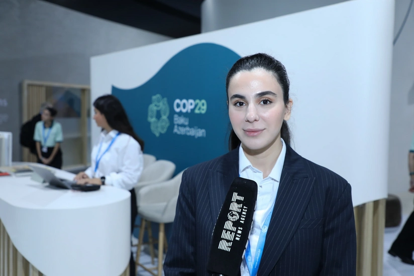 Sektor müdiri: Bakı Stadionunda Azərbaycan pavilyonuna böyük maraq var