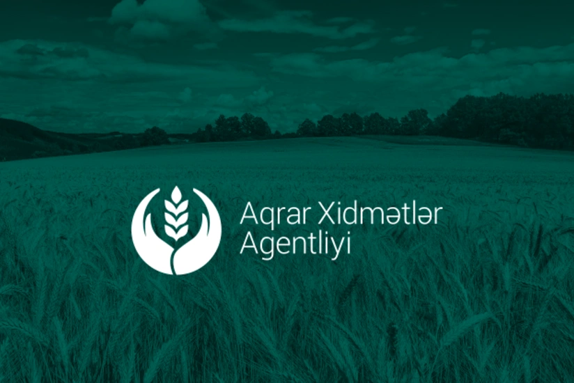Hesablama Palatası Aqrar Xidmətlər Agentliyində yoxlamalar aparıb