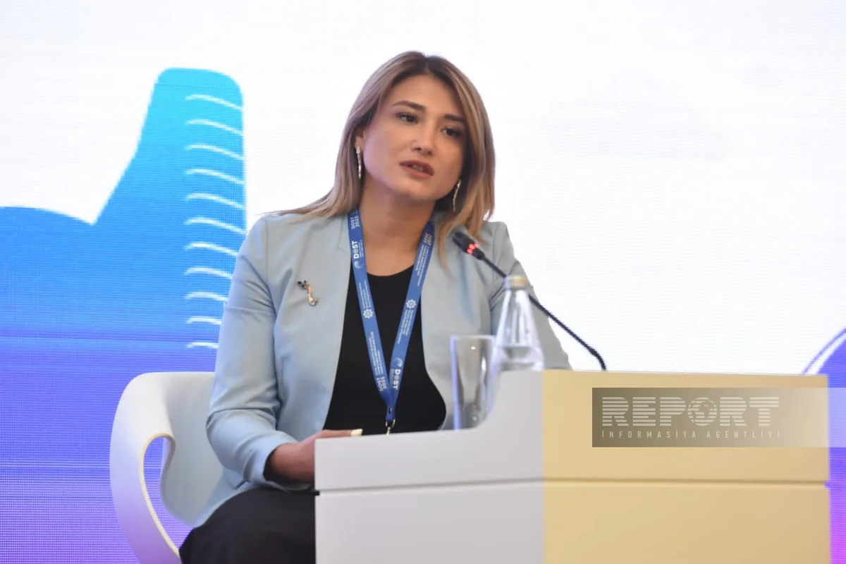 Azərbaycanda sahibkarın vahid bəyannaməsini Vergi Xidməti tərtib edəcək