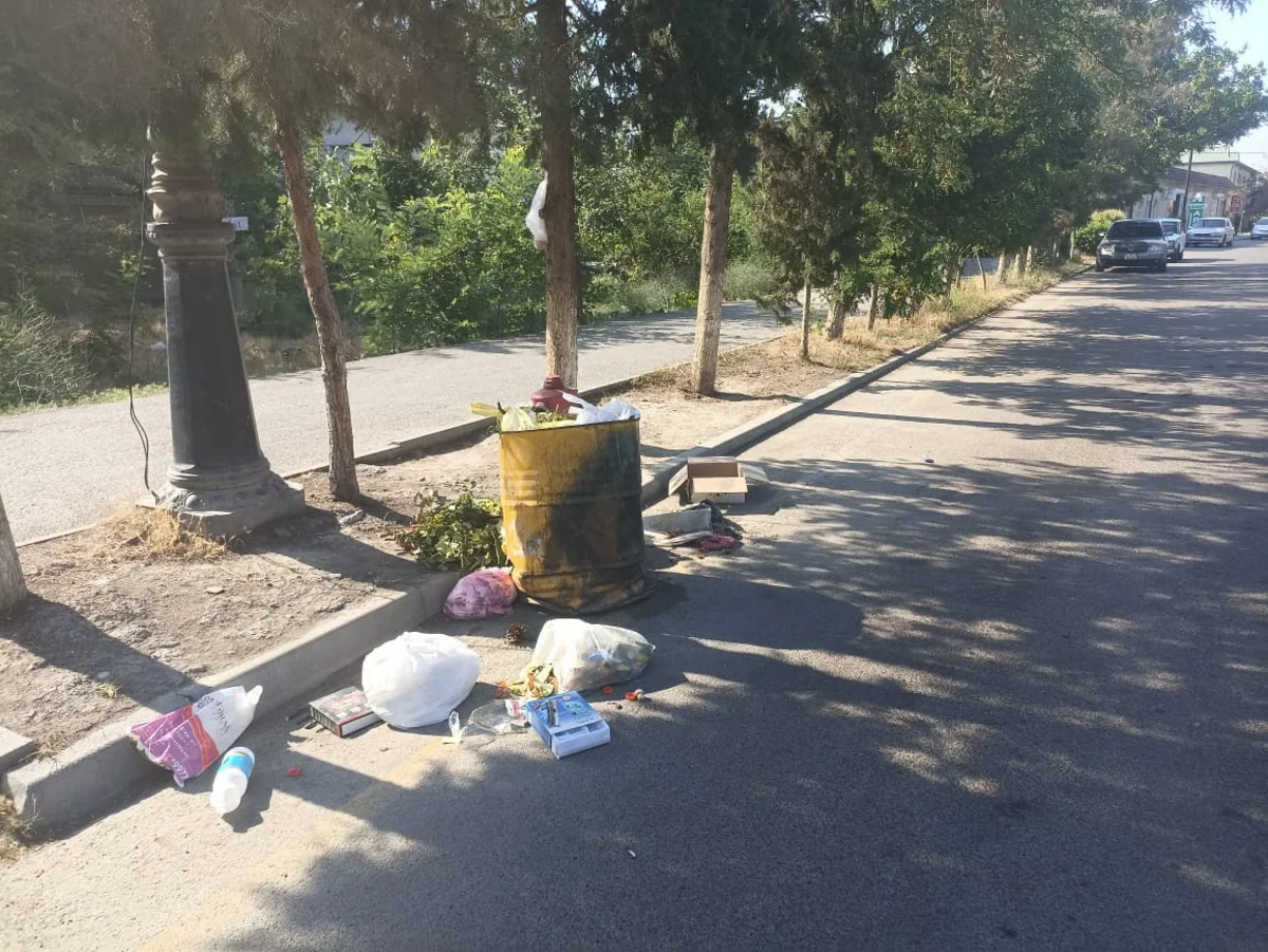 Hacıqabul və Ucarda ətraf mühiti zibilləyən şəxslər barəsində tədbirlər görülüb