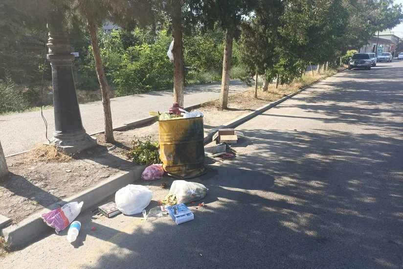 Hacıqabul və Ucarda ətraf mühiti zibilləyən şəxslər barəsində tədbirlər görülüb