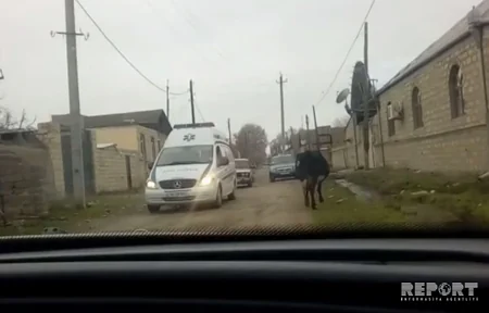 Тело погибшего при взрыве в Турции студента доставлено в Азербайджан