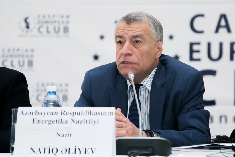 ​Nazir: İtaliyada zeytunluqla bağlı məsələ oktyabrdan gec olmayaraq həll olunacaq