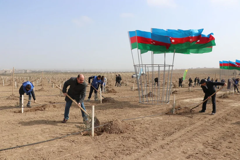 Ekologiya və Təbii Sərvətlər Nazirliyi Müşfiqabadda ağacəkmə aksiyası keçirib