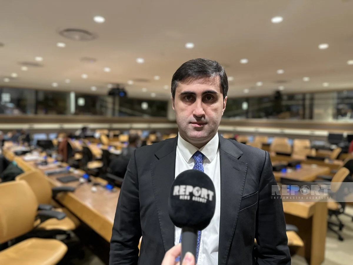 BTQ-nin icraçı direktoru: Təzyiqlər heç bir halda təşkilatımızın fəaliyyətinə təsir göstərməyəcək