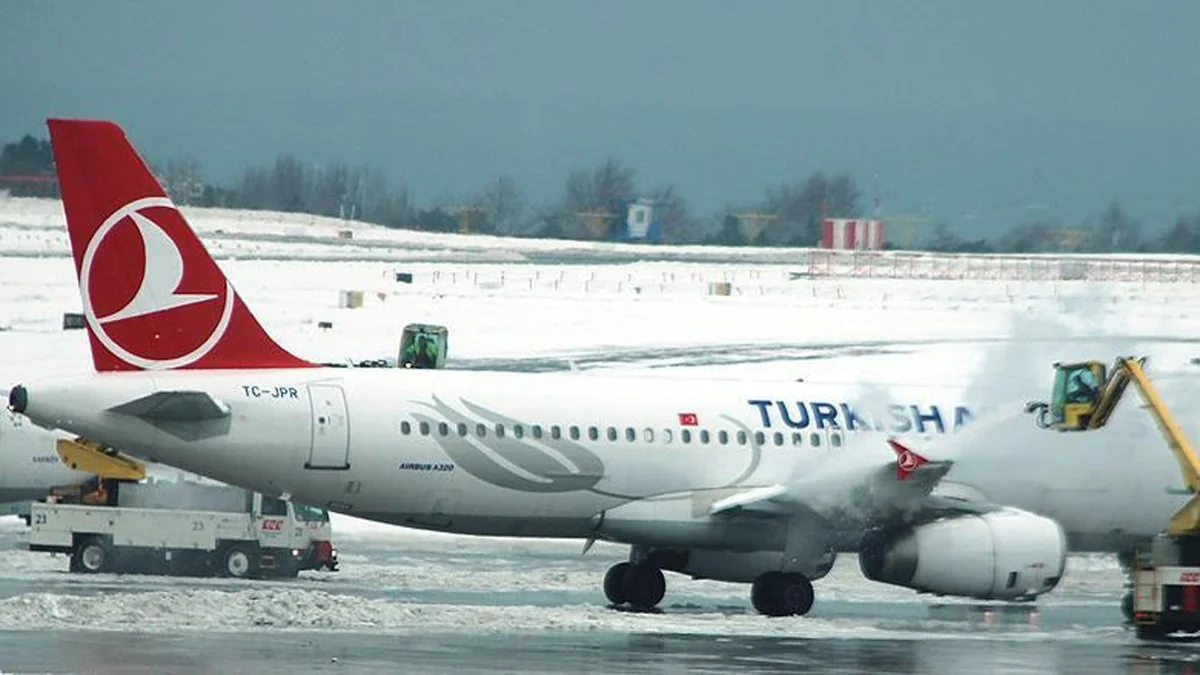 Turkish Airlines cancels 56 flights