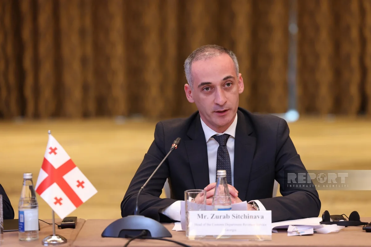 Georgia proposes creation of joint border crossing points with OTS countries