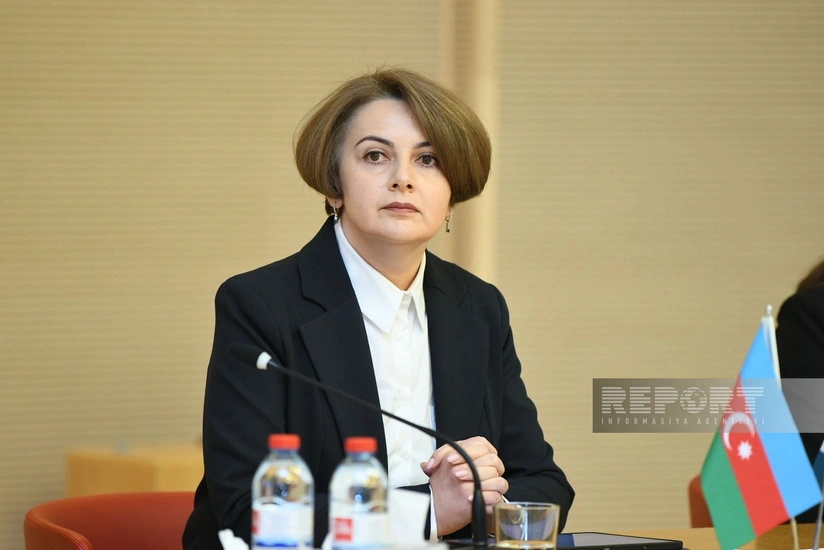 Azərbaycanda yaşıl məhsullar istehsal ediləcək