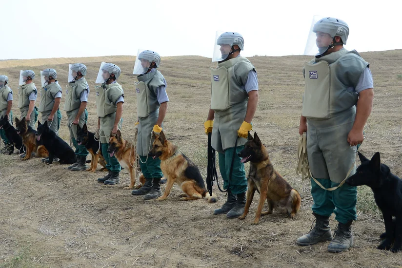 Azərbaycan daha 5 minaaxtaran it alır
