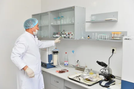 İran halal ət kəsimini Azərbaycan şirkətinə etibar edib - VİDEO