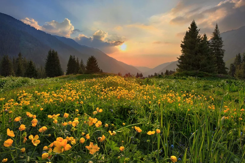 Mayın sonunadək əksər rayonlarda temperatur yüksələcək